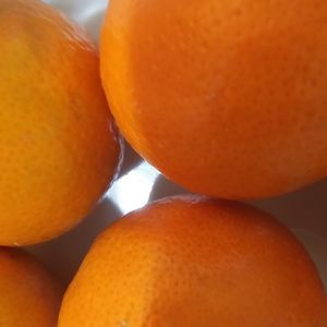 Meet your Posher, Delores